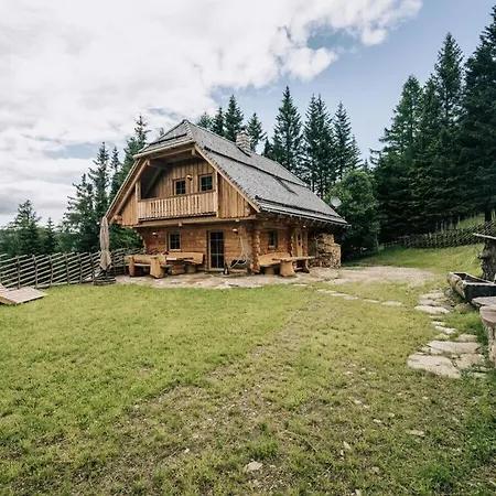 Webertonihuette Modern Retreat Holiday home
