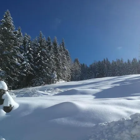 Webertonihuette Modern Retreat בית נופש *