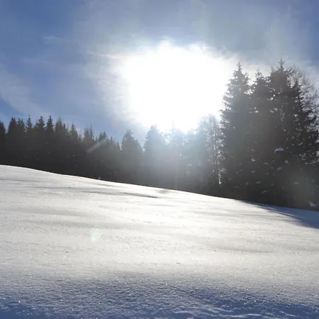 Webertonihuette Modern Retreat