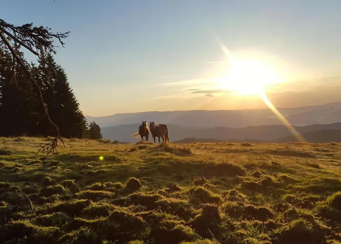 Dom wakacyjny Webertonihuette Modern Retreat *