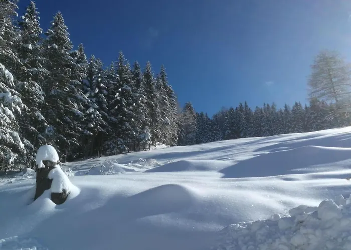 Webertonihuette Modern Retreat Σπίτι διακοπών *