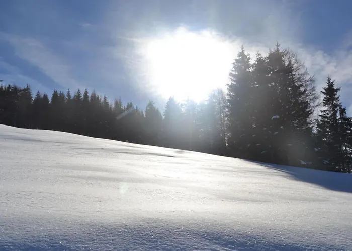 Webertonihuette Modern Retreat